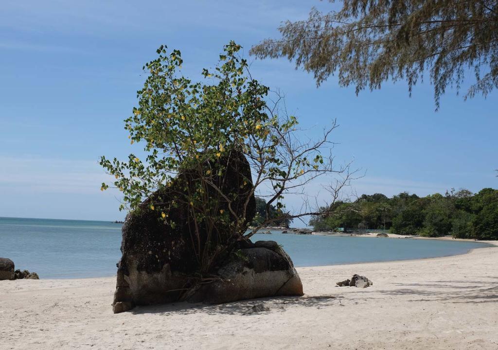 Panji Panji Tropical Wooden Home Pantai Cenang  Exterior photo