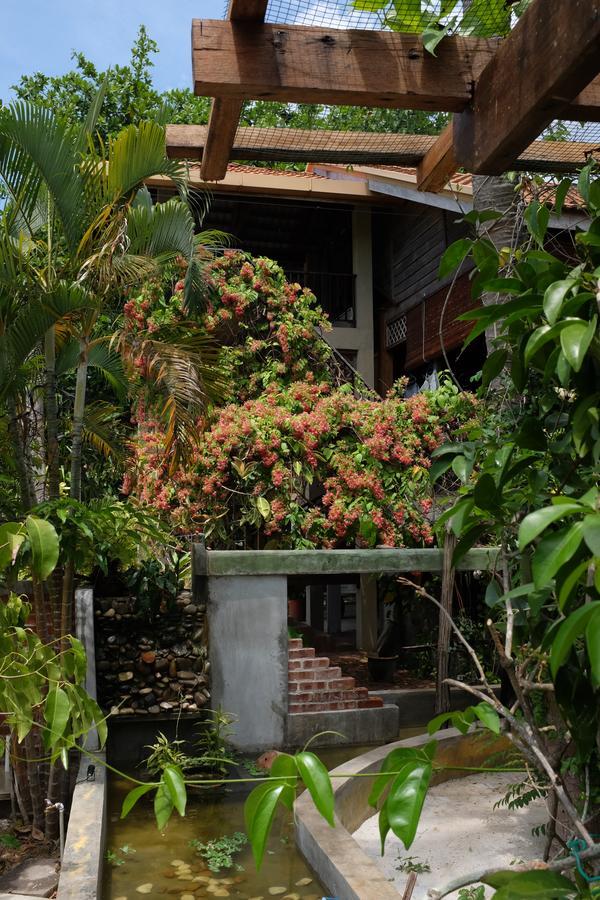 Panji Panji Tropical Wooden Home Pantai Cenang  Exterior photo